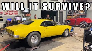 BARN FIND PRO STREET '67 FIREBIRD DYNO SESSION!