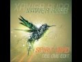 Xavier rudd  spirit bird dee cue edit