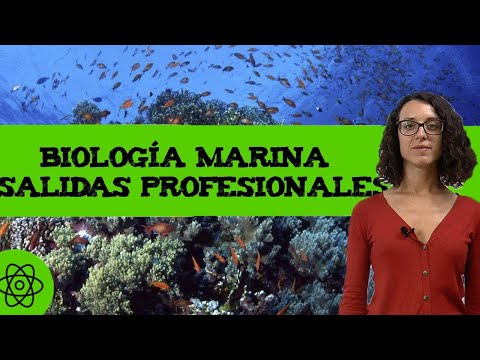 Video: ¿Cuáles son los diferentes campos de la biología marina?