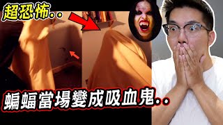 三個真實拍到吸血鬼的驚悚畫面 3 Real Vampire Caught on Camera【希露弟弟啃雞腿】