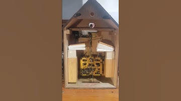 Thumbnail of Cuckoo Clock bellows #Beautiful #germany #vintage #cuckooclock #bellows #shorts #bird #clock
