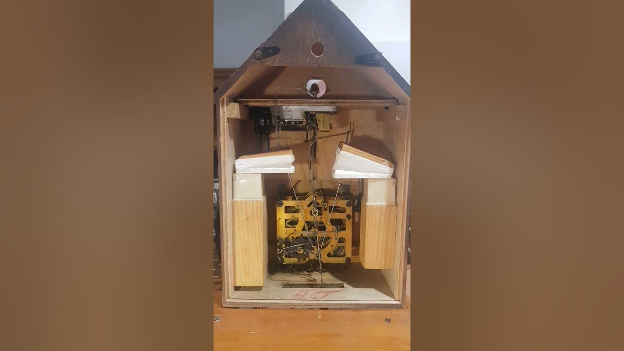 Cuckoo Clock bellows #Beautiful #germany #vintage #cuckooclock #bellows #shorts #bird #clock