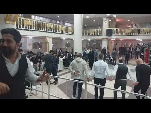 KOMA ŞERZAN ŞEMMAMÉ  Yeni