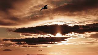 Dark Smooth Clouds in Orange Sunset | Stock Video