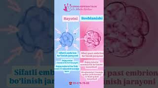 EKU: embrion sifati... Reproduktolog Nilufar KABILOVA, 95-678-78-00 #eko #eku #эко #эку #ivf