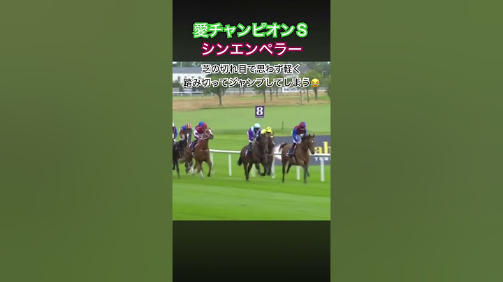 シンエンペラーが思わず飛越してしまう #競馬 #シンエンペラー #愛チャンピオンステークス