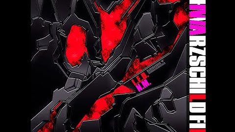 SCHWARZSCHILD FIELD - L.E.D.×N.M.