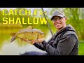 F1 shallow fishing  the ultimate guide