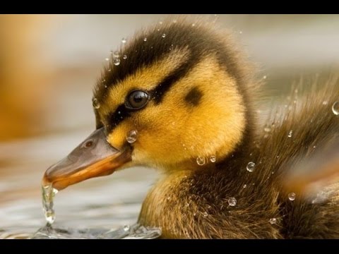 АТВ. АТБ - Акция Экономия 22 06