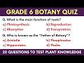 Grade 6 Botany Quiz – 20 Questions to Test Plant Knowledge | General Science Quiz for School Kids