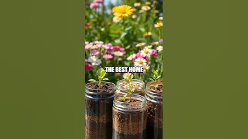 Science Adventure at the City Urban Farm