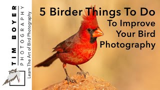 5 Things Birders Do   To Improve Your Bird Photography