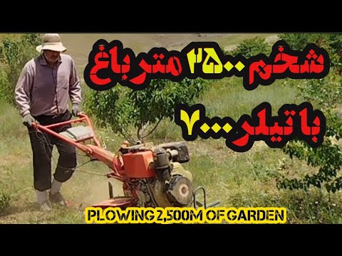 شخم ۲۵۰۰ متر باغ با تیلر ۷۰۰۰  2 500      7000