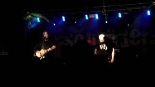 Die Schröders - Frösche weinen nie (live)