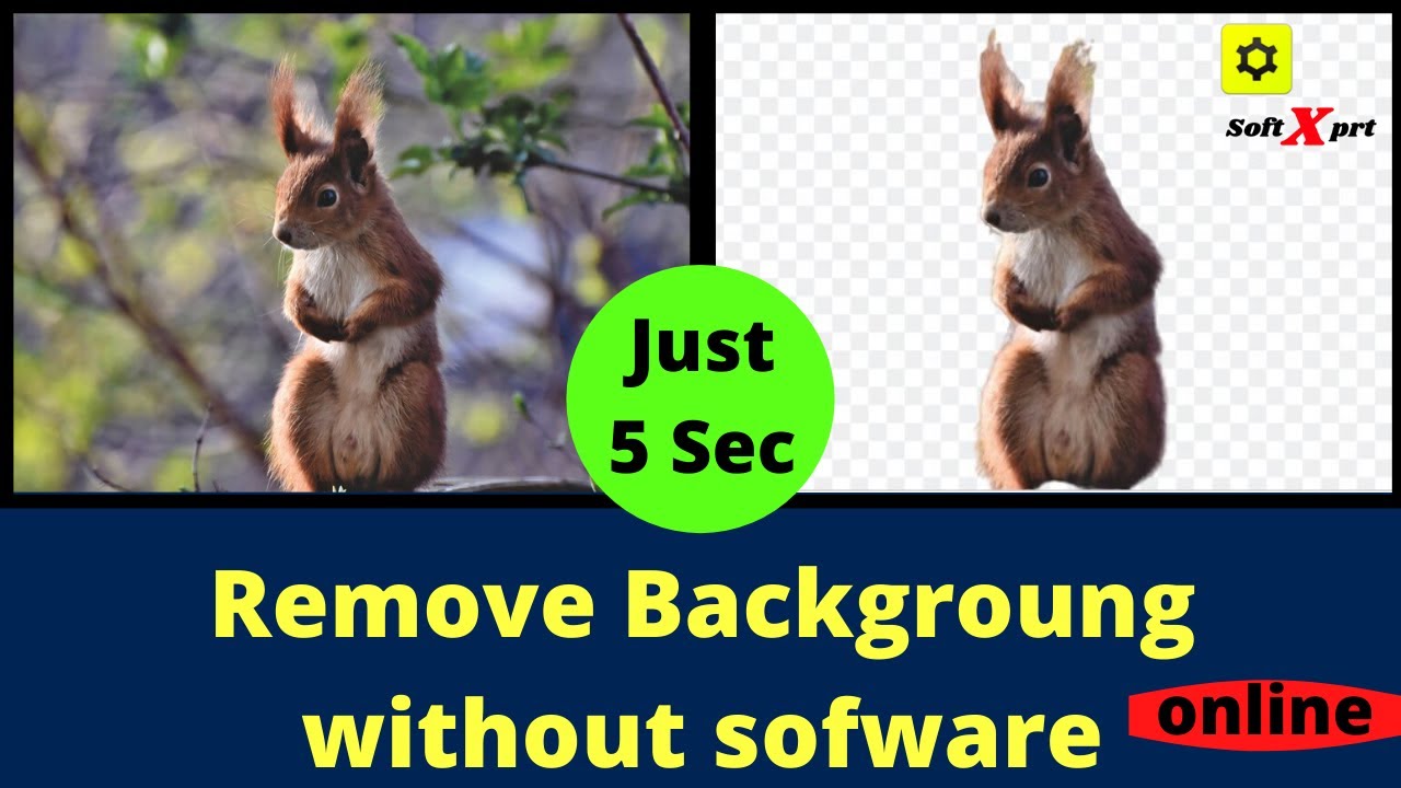 Remove background online from image automatic background remover