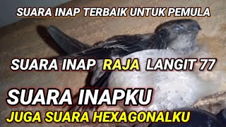 Suara inap Raja Langit 77. suara inap terbaik untuk pemula. suara inapku juga suara hexagonalku