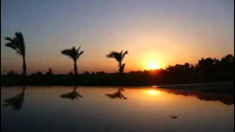 حسين الجسمي - سورة الماعون