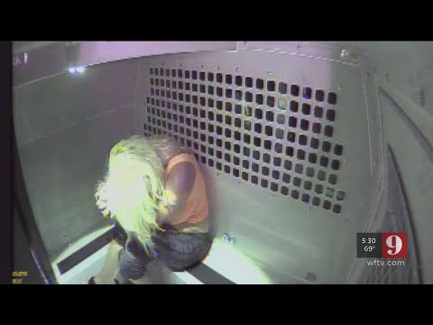 Van surveillance video shows Daytona Beach Police transport driver soliciting inmate for sex | WFTV