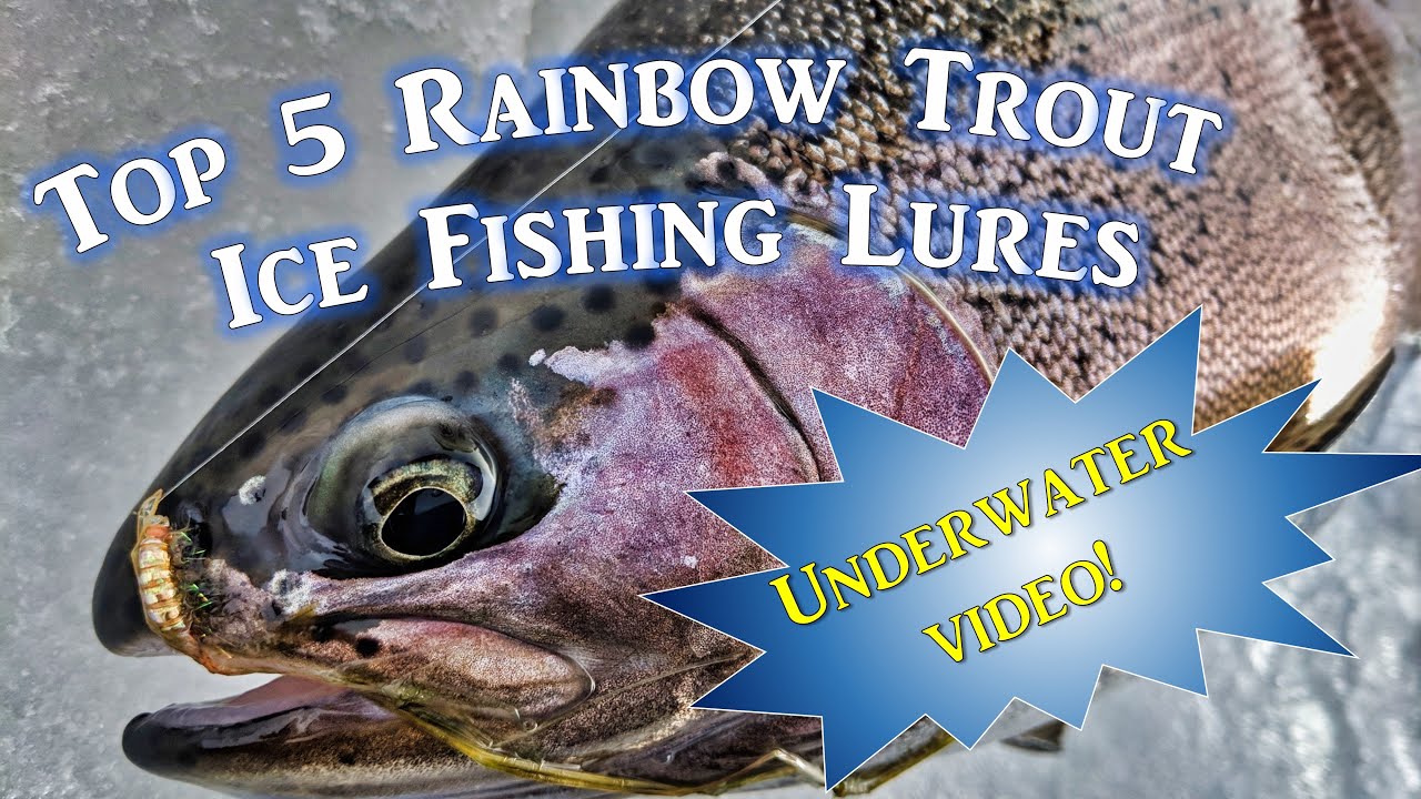 Top 5 Ice Fishing Lures for Rainbow Trout (Underwater Video) 