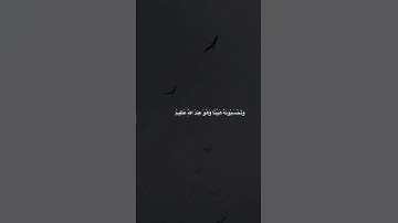 #راحه_وطمأنينه_للقلب #القرآن_الكريم #تلاوة_هادئة #رمضان #الهدايا #راحة_نفسية #تلاوة_خاشعة #القرآن_