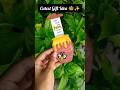 "Cutest DIY Honey Jar Gift Card 🐝✨ | Easy Handmade Gift for Friends!"