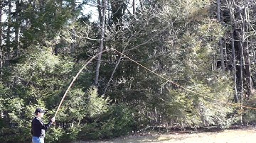 tailing loops vs. tight, closed loops--can you see the difference at full speed?