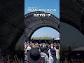 'ログマロープ' Live Video Short ver. at ARABAKI ROCK FEST.25(2025.04.27) #日食なつこ #アラバキ #shorts