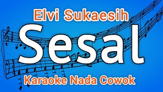 Karaoke Lagu Sesal (Elvi Sukaesih) - Nada Cowok | HD