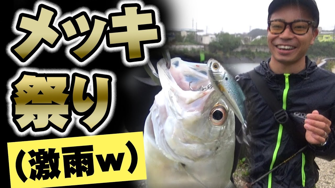 朝マズメのメッキ祭り！