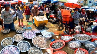 ตลาดปลา 9กิโล อุปทานจำนวนมากของตลาดปลากัมพูชา ตลาดปลากัมพูชา