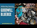 Goodwill Blue Box Jewelry Unboxing