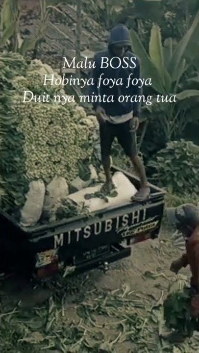 story'wa kurir sayur sawi balap