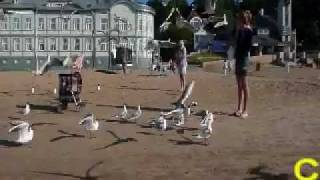 Cicloturismo In Lettonia Da Jurmala A Kolka - Riteņbraukšana Latvija Jūrmalas Kolka