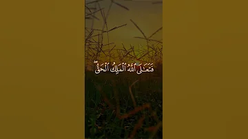 أفحسبتم أنما خلقناكم عبثا تلاوة تهز القلوب للشيخ المنشاوي من سورة المؤمنون 