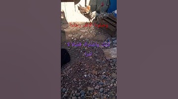 تلاوة ماشاء الله تبارك الرحمان #اكسبلور #تلاوة_قرآن