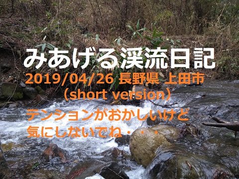 みあげる渓流日記 ルアー釣り 長野県上田市での渓流釣り Japanese Mountain Stream Fishing Youtube
