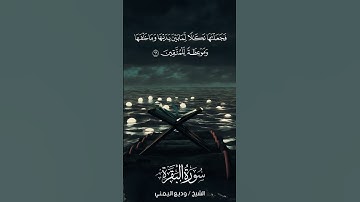 سورة البقرة | Al-Baqarah | آية 66 | الشيخ وديع اليمني