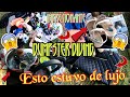 ♻️Súper😱HALLAZGO😱 De Cosas NUEVAS🤑Esta TIENDA🤑 Tiró de TODO😱DUMPSTER DIVING/LO QUE TIRAN EN USA🇺🇸