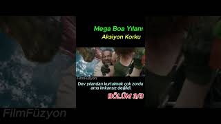 Mega Boa Yılanı