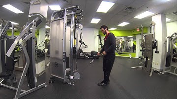Ipsilateral Single Arm Row in Split Stance without Rotation