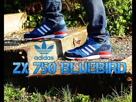 adidas zx 75 bluebird