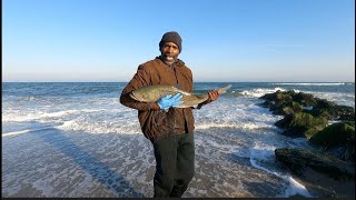 Striped Bass Fishing-More Beautiful Fish