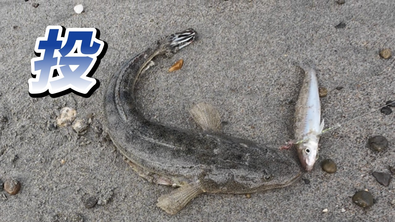 ウッドシンカーで投げ釣り