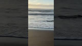 Bucalemu sexta región