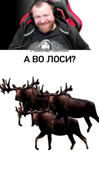 Петренто лоси #петренто #приколы #прикол #petrento #мем #мемы #смех #лоси #юмор 