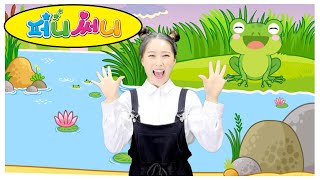 퍼니써니 개구리와올챙이 개구리동요 동물동요 아기문화센터 오감미술방문수업