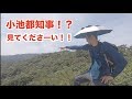 【東京オリンピック】被る傘を登山で試してみたら意外と使えた！