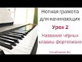 Нотная грамота для начинающих. Урок 2.