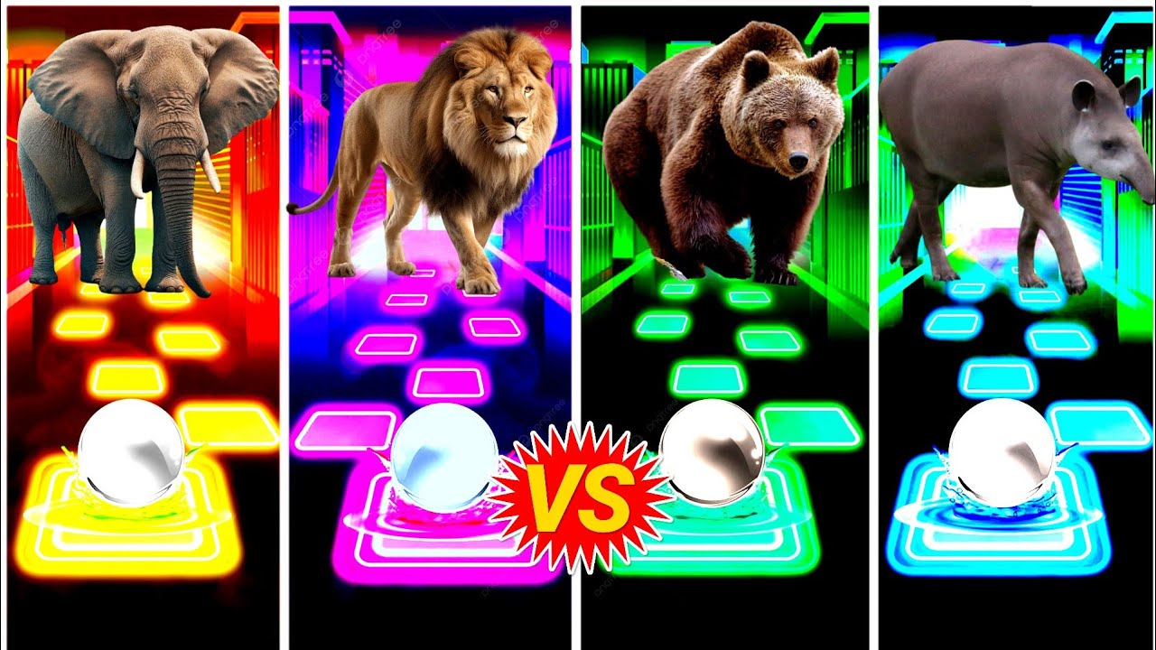 Funny Elephant 🆚 Funny Lion 🆚 Funny Bear 🆚 Funny Brazilian Tapir.Who In The Bast👍Coffin Dance🔥🔥