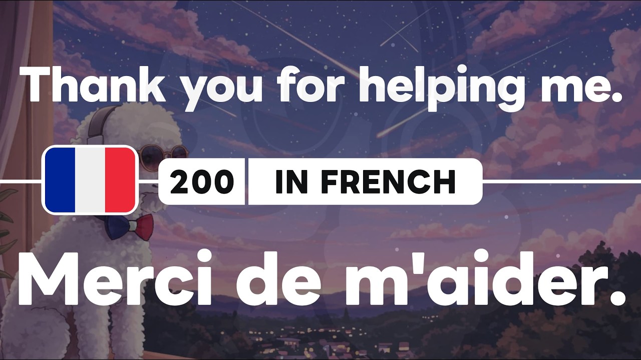 🇫🇷 200 French Phrases 28 Patterns for Beginners Part 11